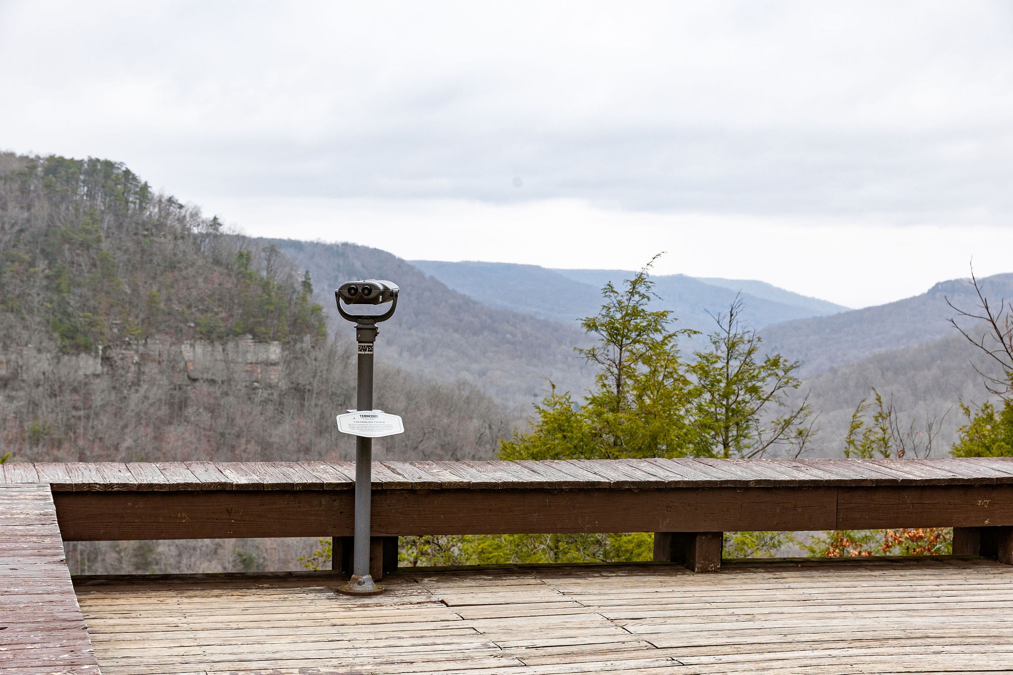 0 Captain Carter Road Spencer, TN 38585 - Photo 40 of 43