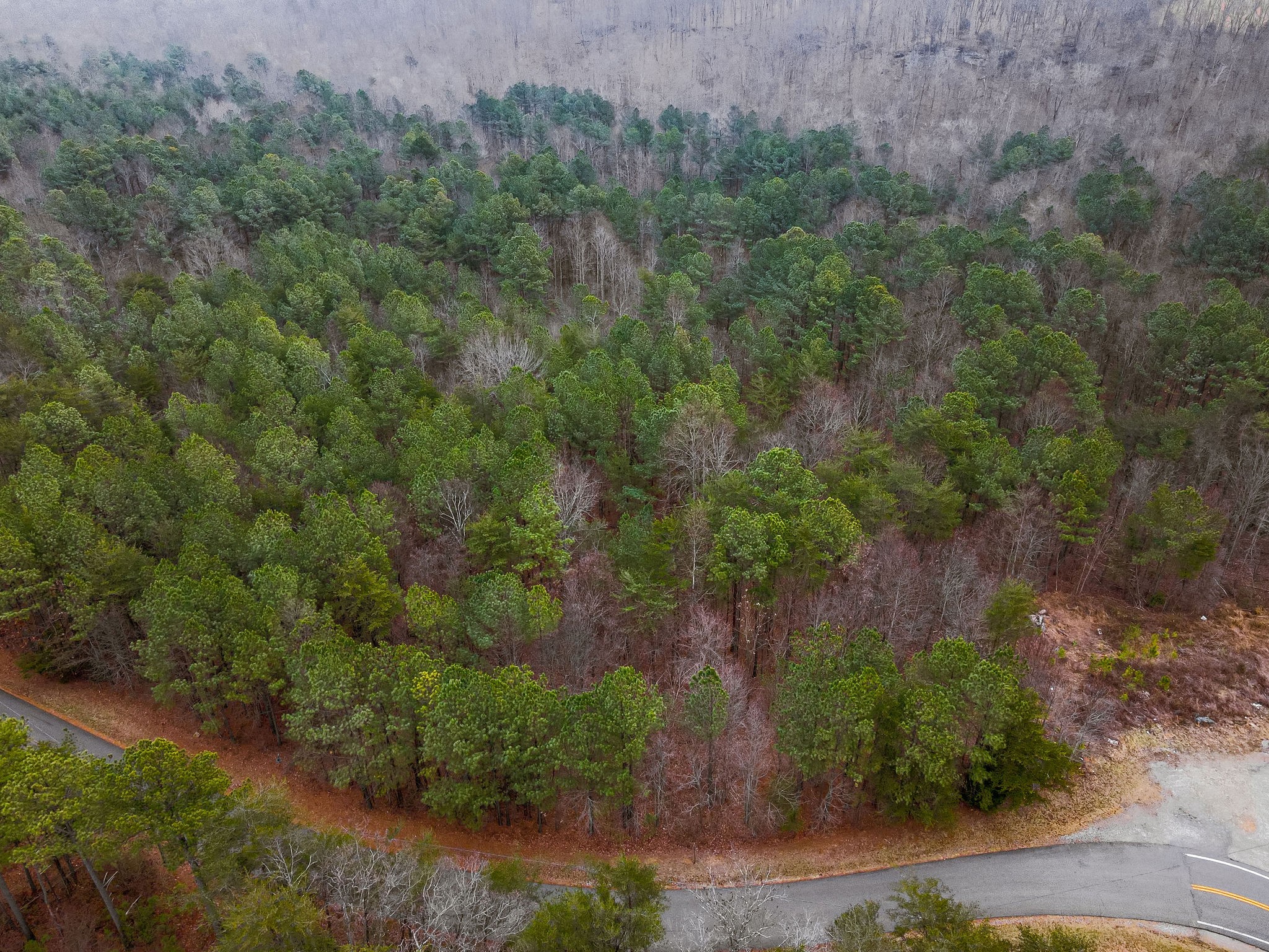 0 Captain Carter Road Spencer, TN 38585 - Photo 4 of 43 an aerial view of a house with a yard