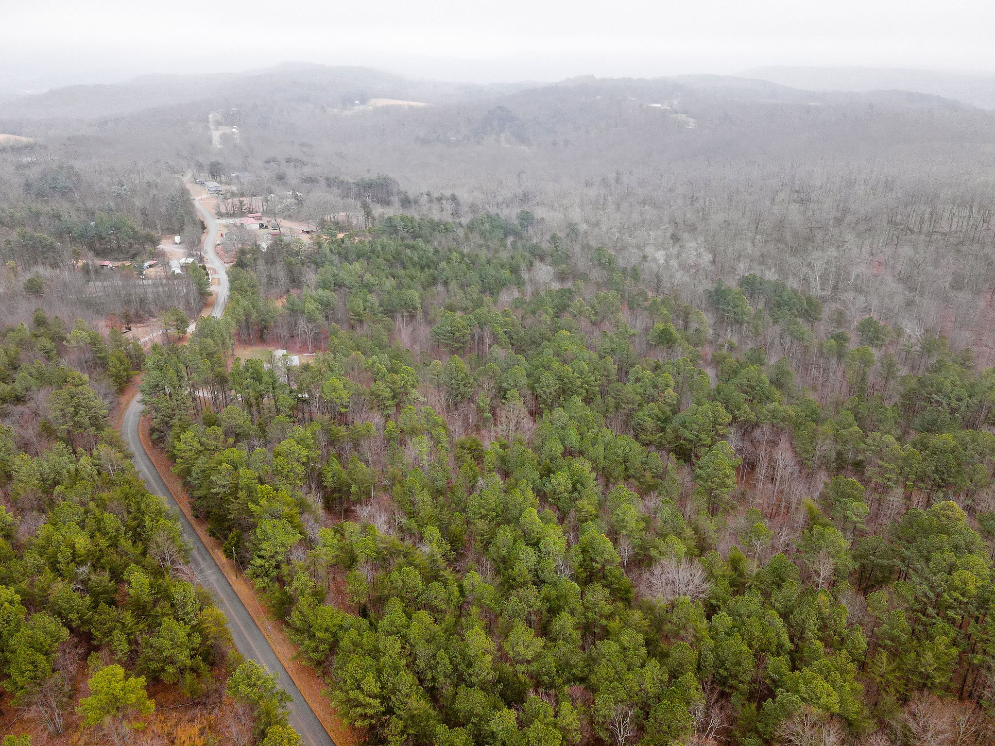 0 Captain Carter Road Spencer, TN 38585 - Photo 7 of 43 a view of a city from a yard