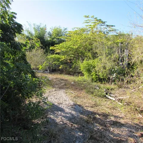 a view of a large yard with lots of green space