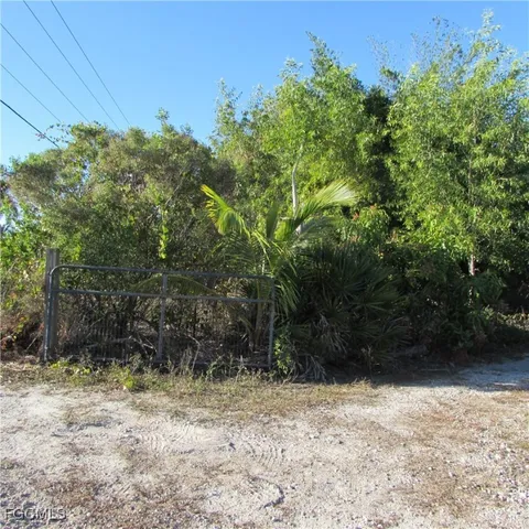 a view of a yard with plants and trees