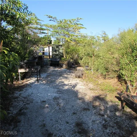 a view of a forest with trees in the background