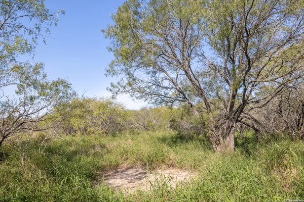 $132,500 | 0 Fm 666 At County Road 1168, Mathis, TX 78368