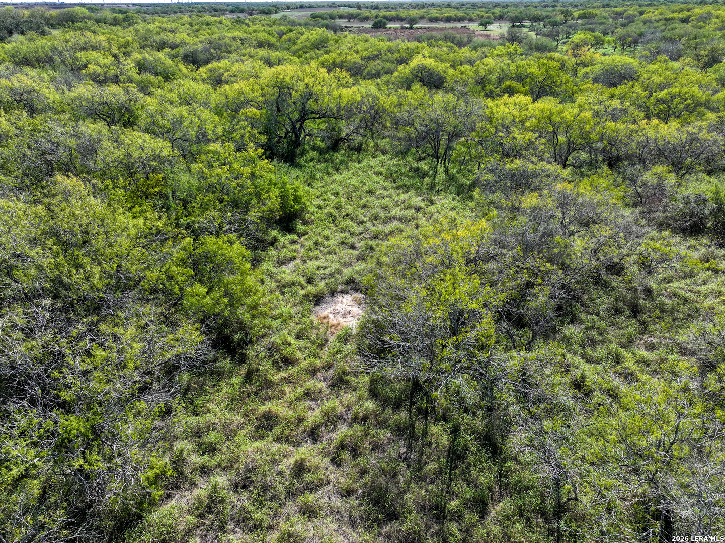 0 Fm 666 At County Road 1168 Mathis, TX 78368 - Photo 16 of 18