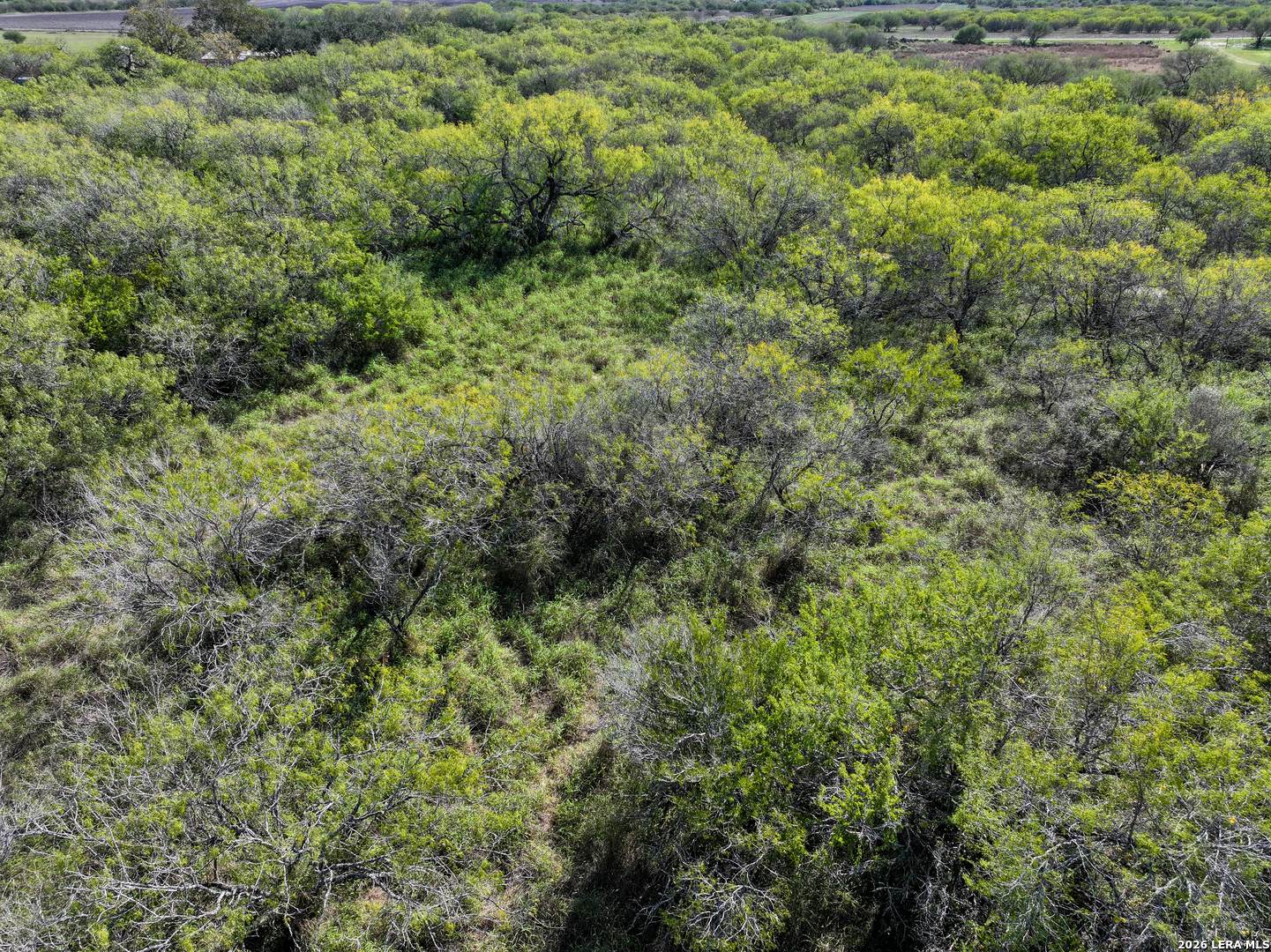 0 Fm 666 At County Road 1168 Mathis, TX 78368 - Photo 17 of 18
