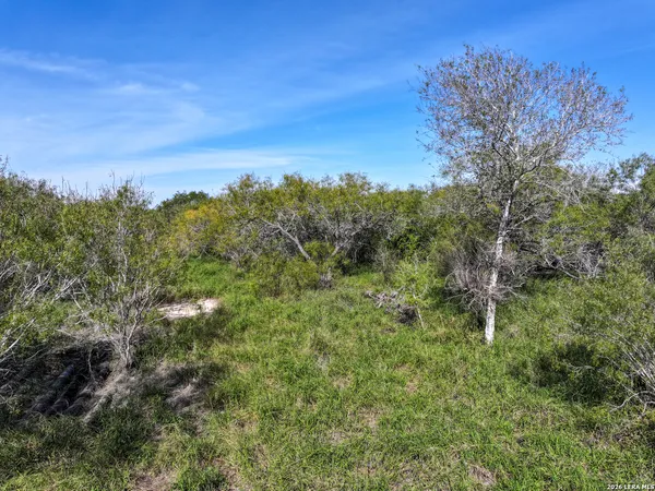 $132,500 | 0 Fm 666 At County Road 1168, Mathis, TX 78368