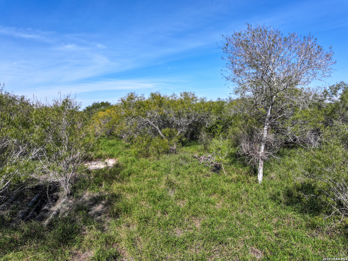 0 Fm 666 At County Road 1168 Mathis, TX 78368 - Photo 18 of 18