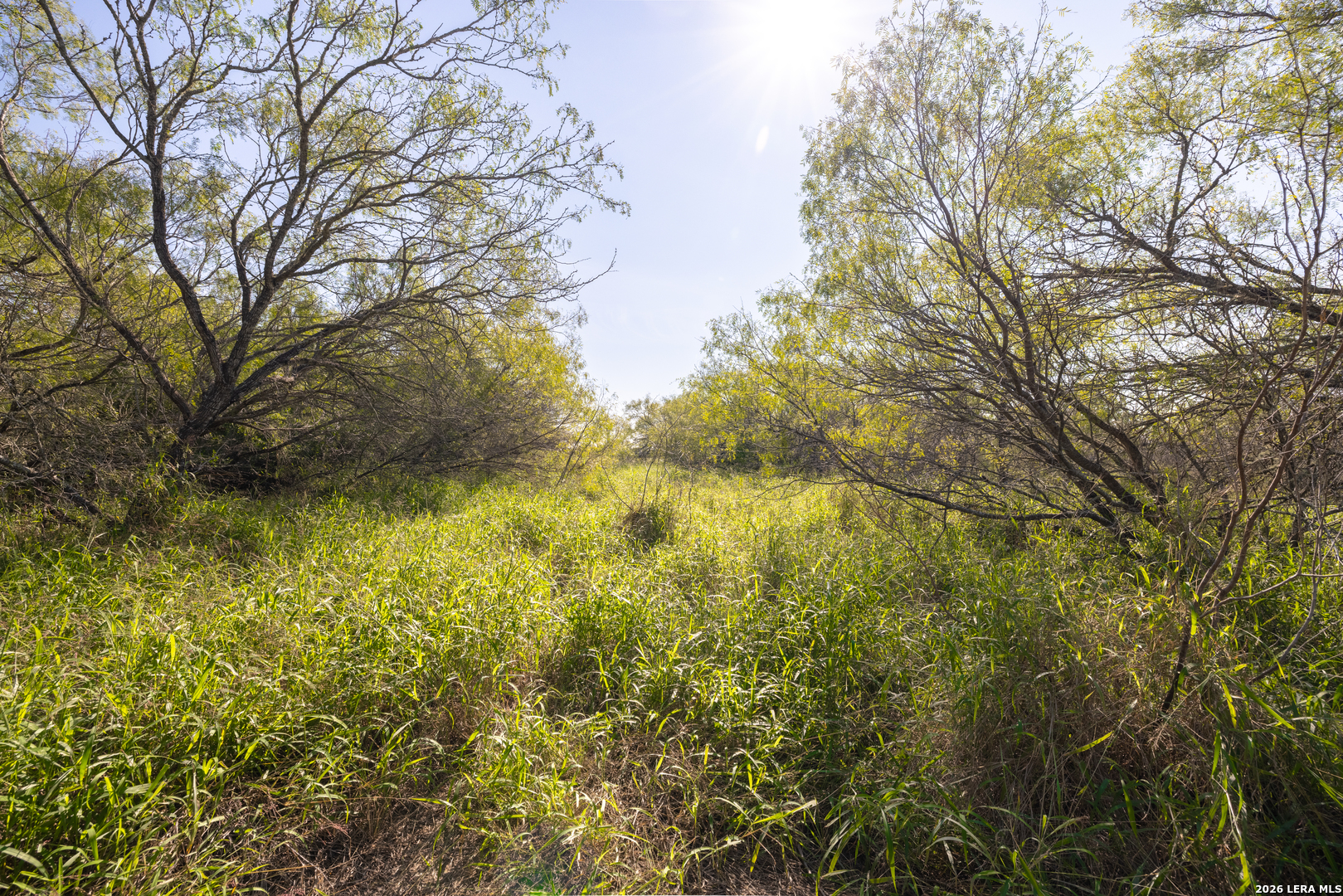 0 Fm 666 At County Road 1168 Mathis, TX 78368 - Photo 2 of 18