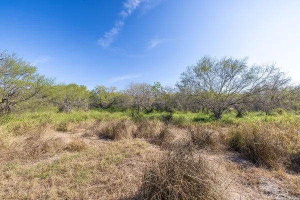 $132,500 | 0 Fm 666 At County Road 1168, Mathis, TX 78368