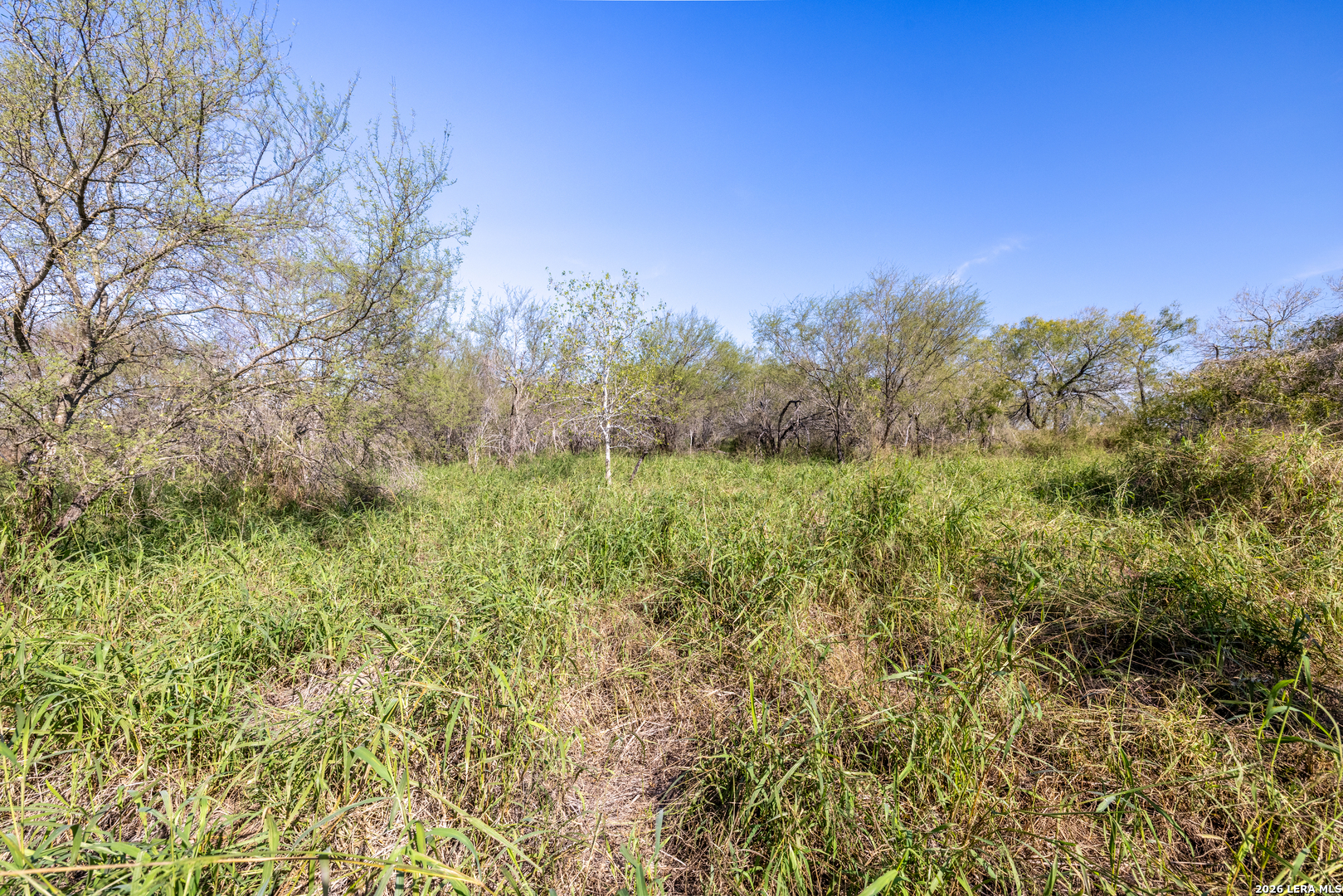 0 Fm 666 At County Road 1168 Mathis, TX 78368 - Photo 4 of 18