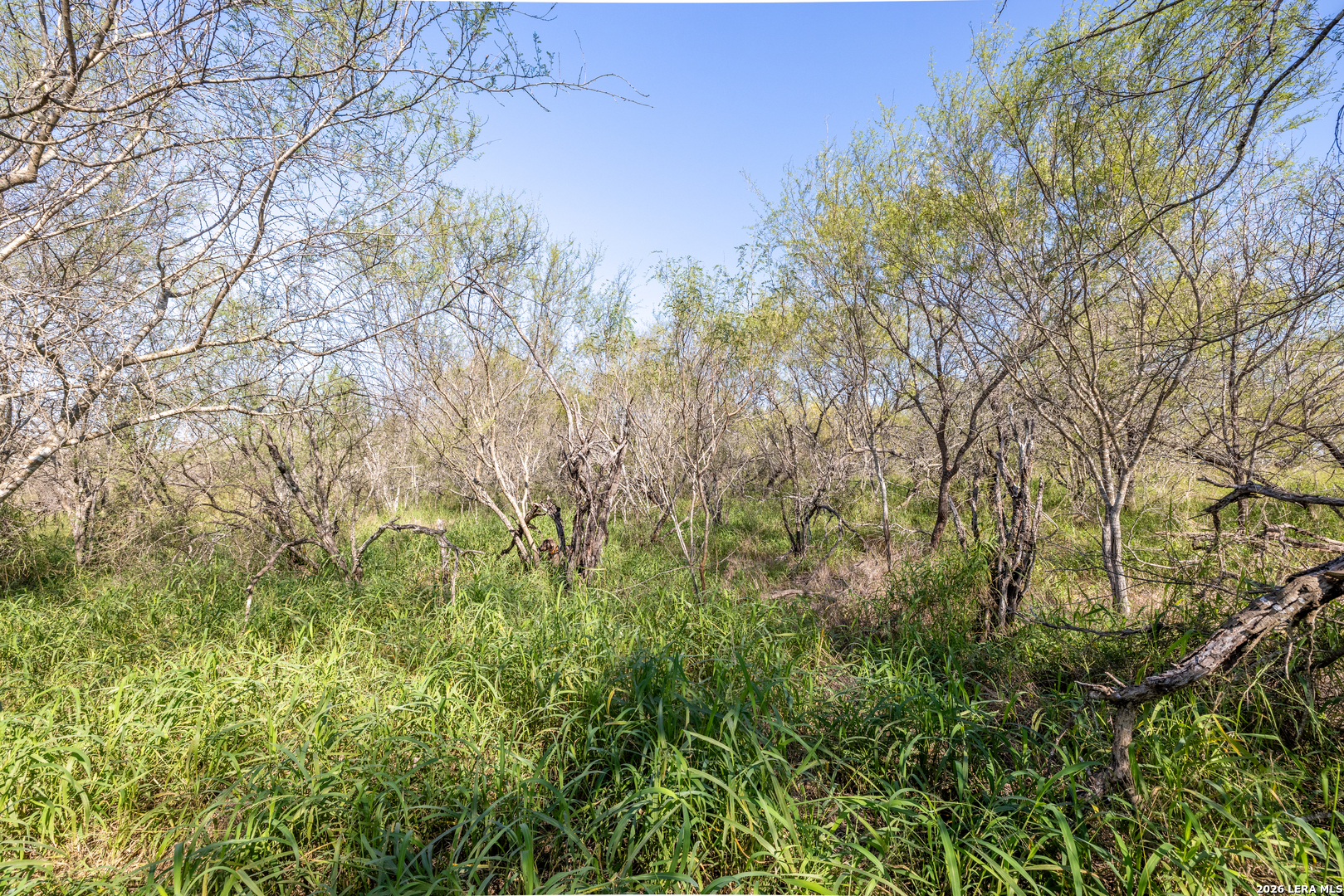 0 Fm 666 At County Road 1168 Mathis, TX 78368 - Photo 5 of 18