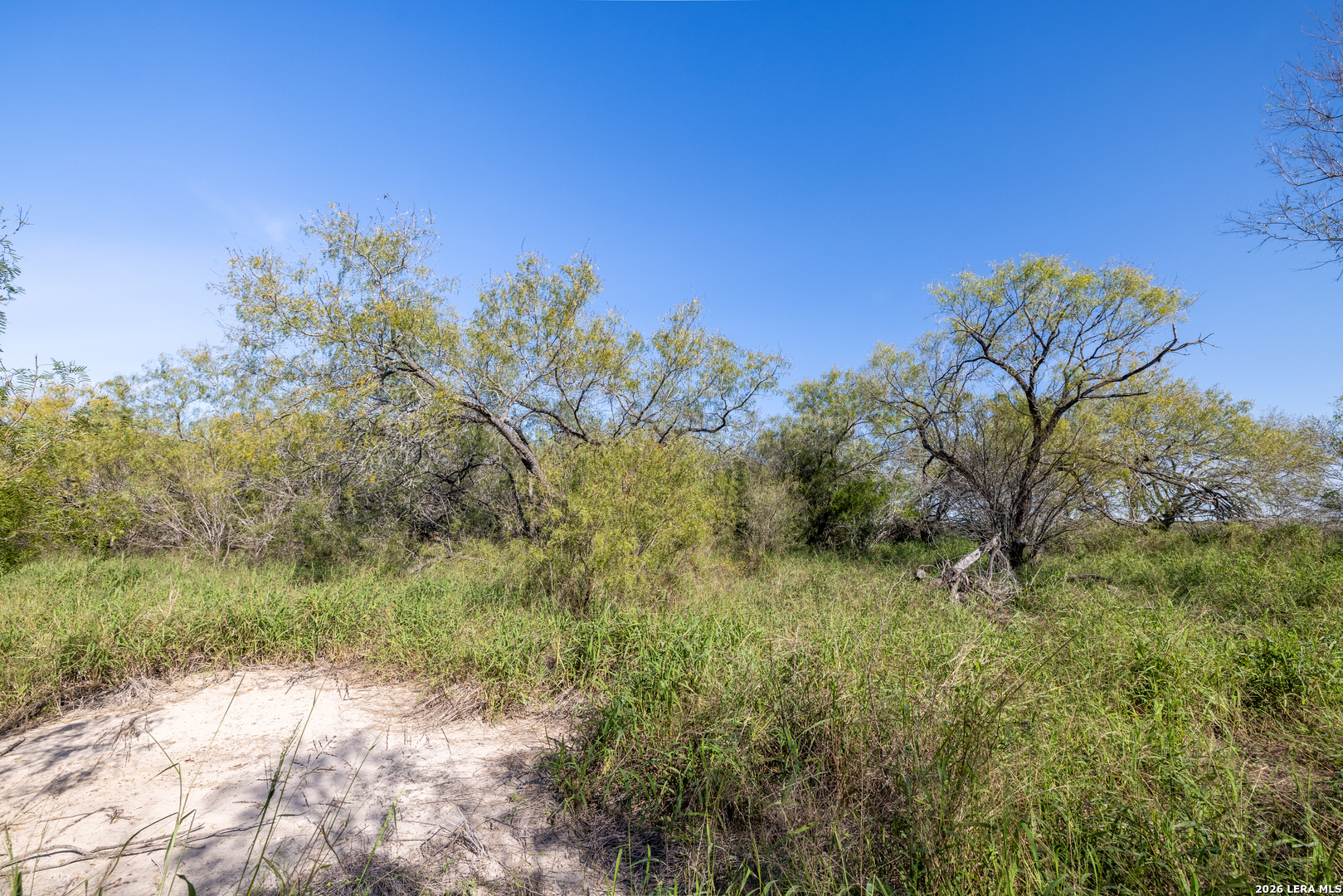 0 Fm 666 At County Road 1168 Mathis, TX 78368 - Photo 6 of 18