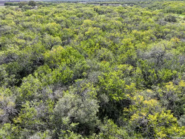 $132,500 | 0 Fm 666 At County Road 1168, Mathis, TX 78368