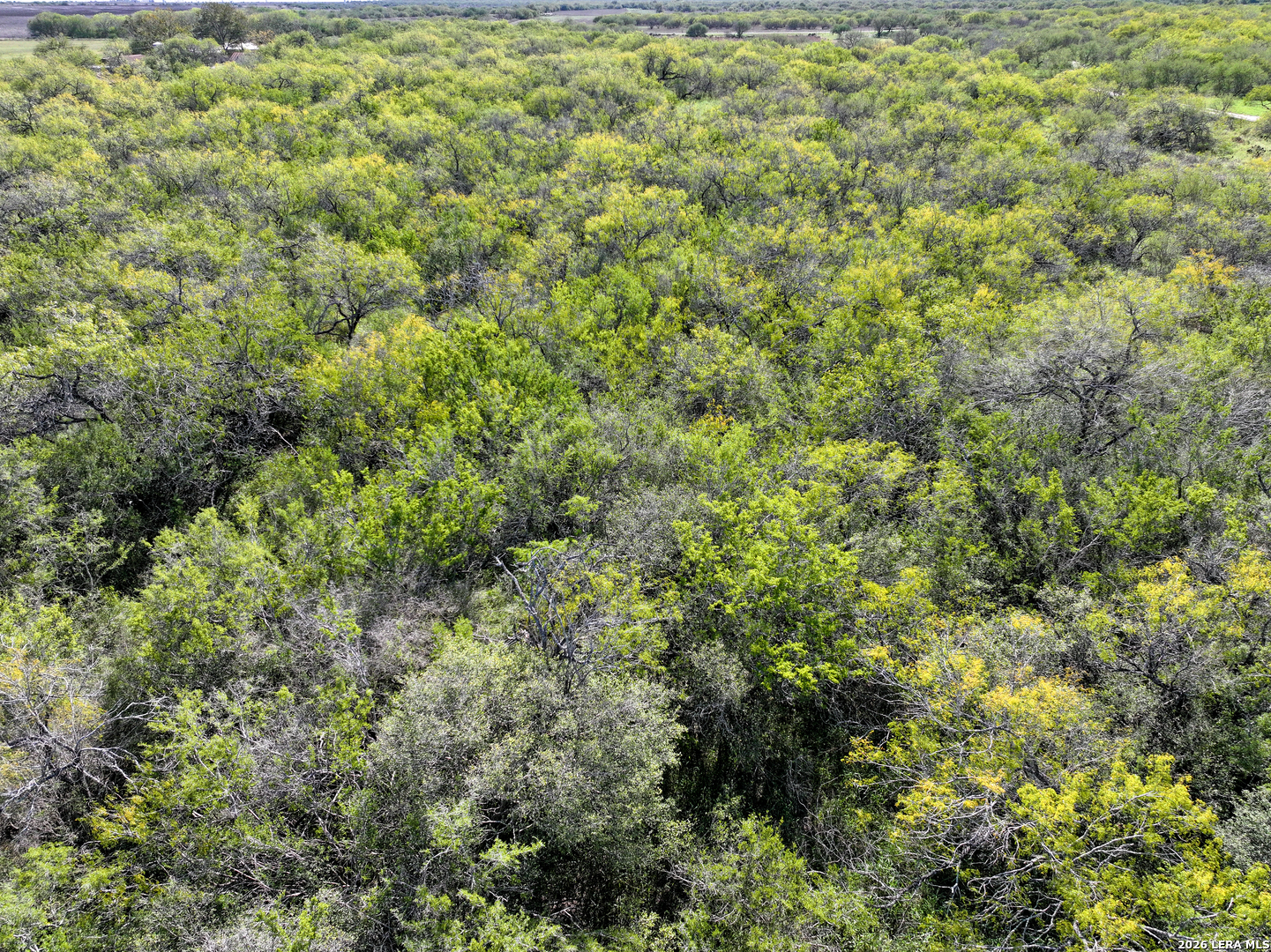 0 Fm 666 At County Road 1168 Mathis, TX 78368 - Photo 9 of 18