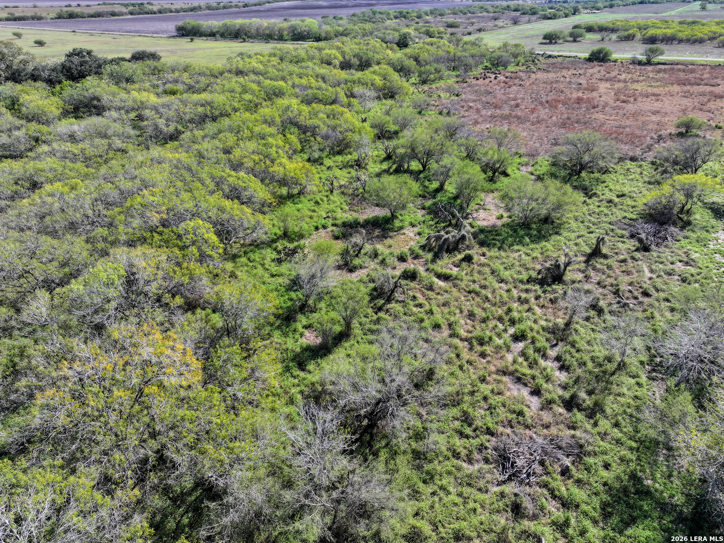 0 Fm 666 At County Road 1168 Mathis, TX 78368 - Photo 10 of 18
