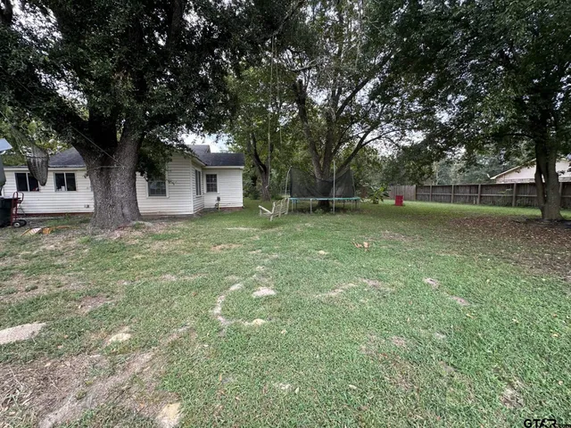 a tall tree in middle of the green field
