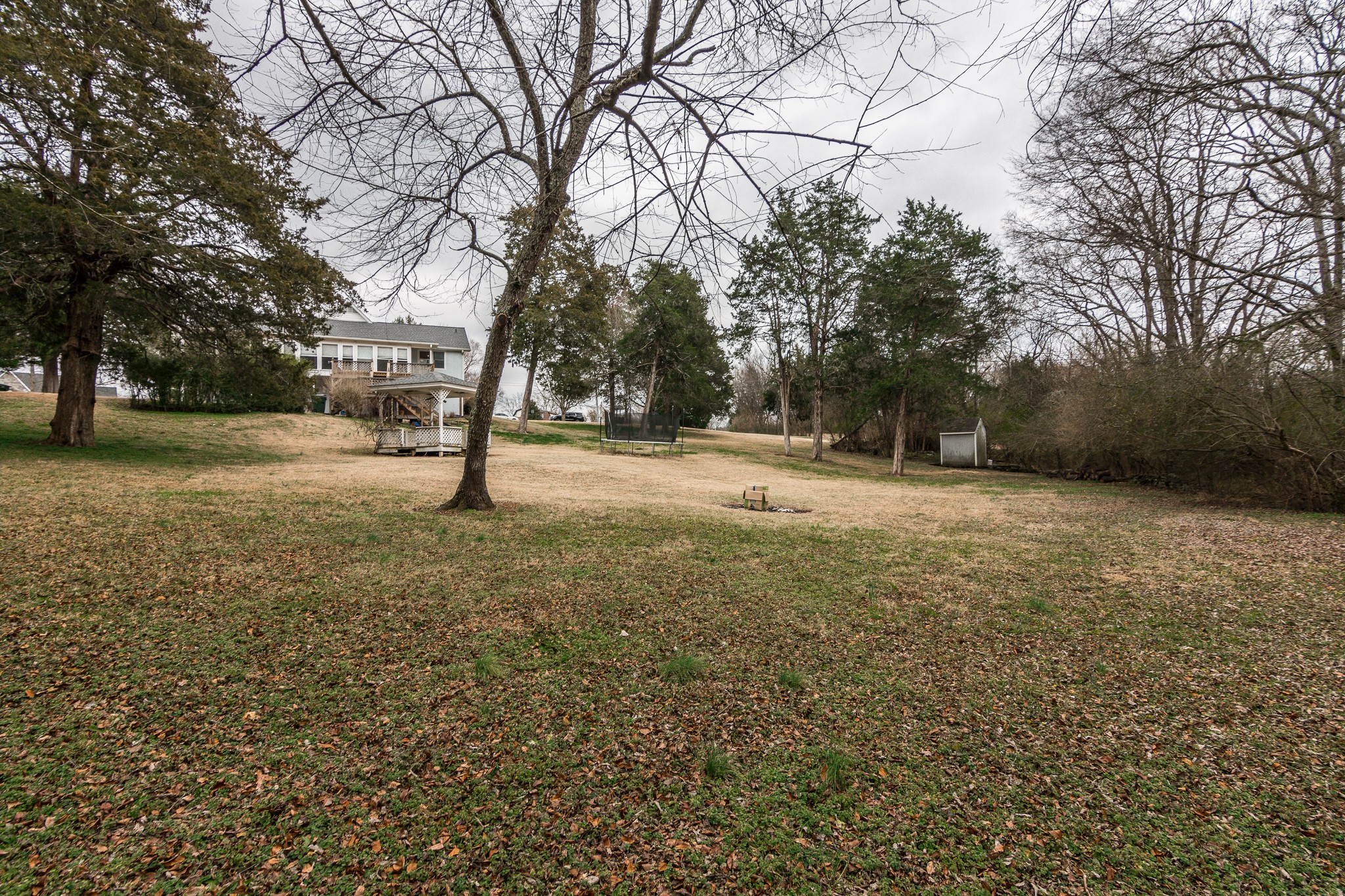 1005 Edgewater Circle Gallatin, TN 37066 - Photo 41 of 50 a view of dirt yard with a tree