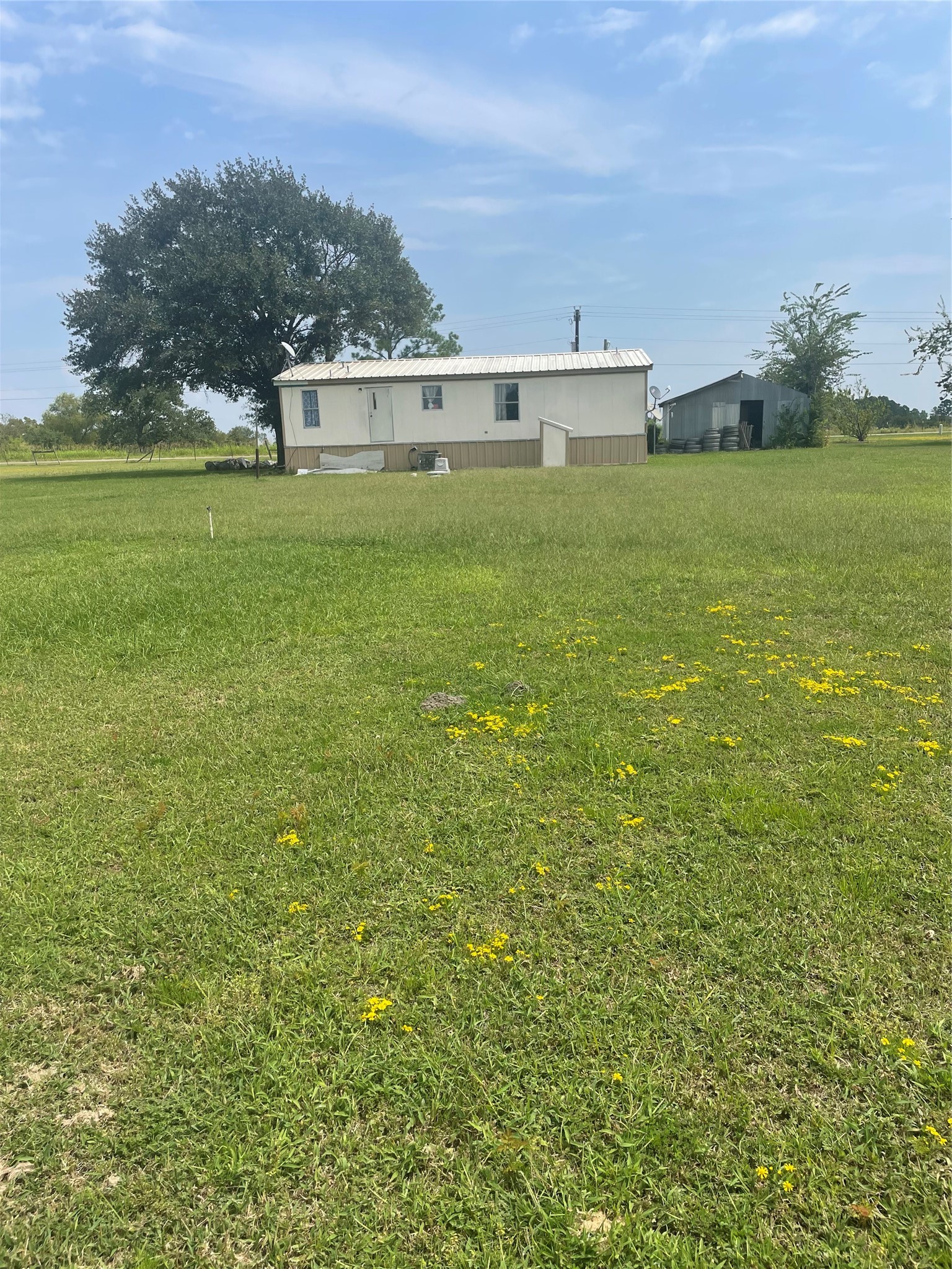 59 Wallace Road Huntsville, TX 77320 - Photo 2 of 16 a view of a big yard next to a large building
