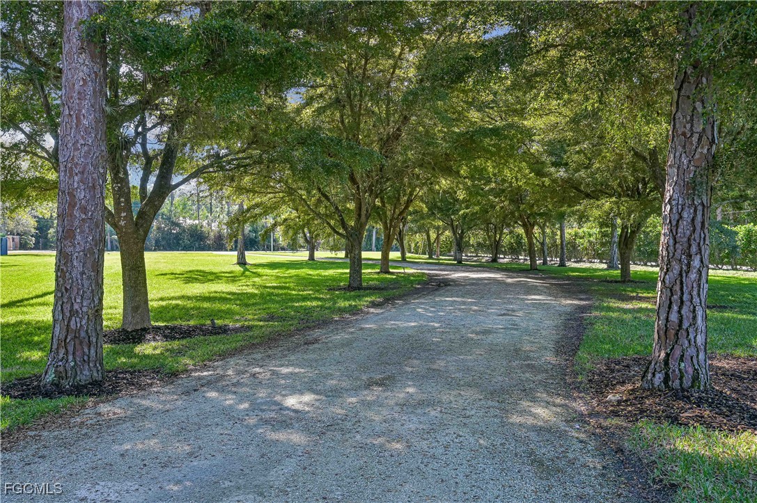 6941 Hunters Road Naples, FL 34109 - Photo 8 of 45 a view of a trees in a park