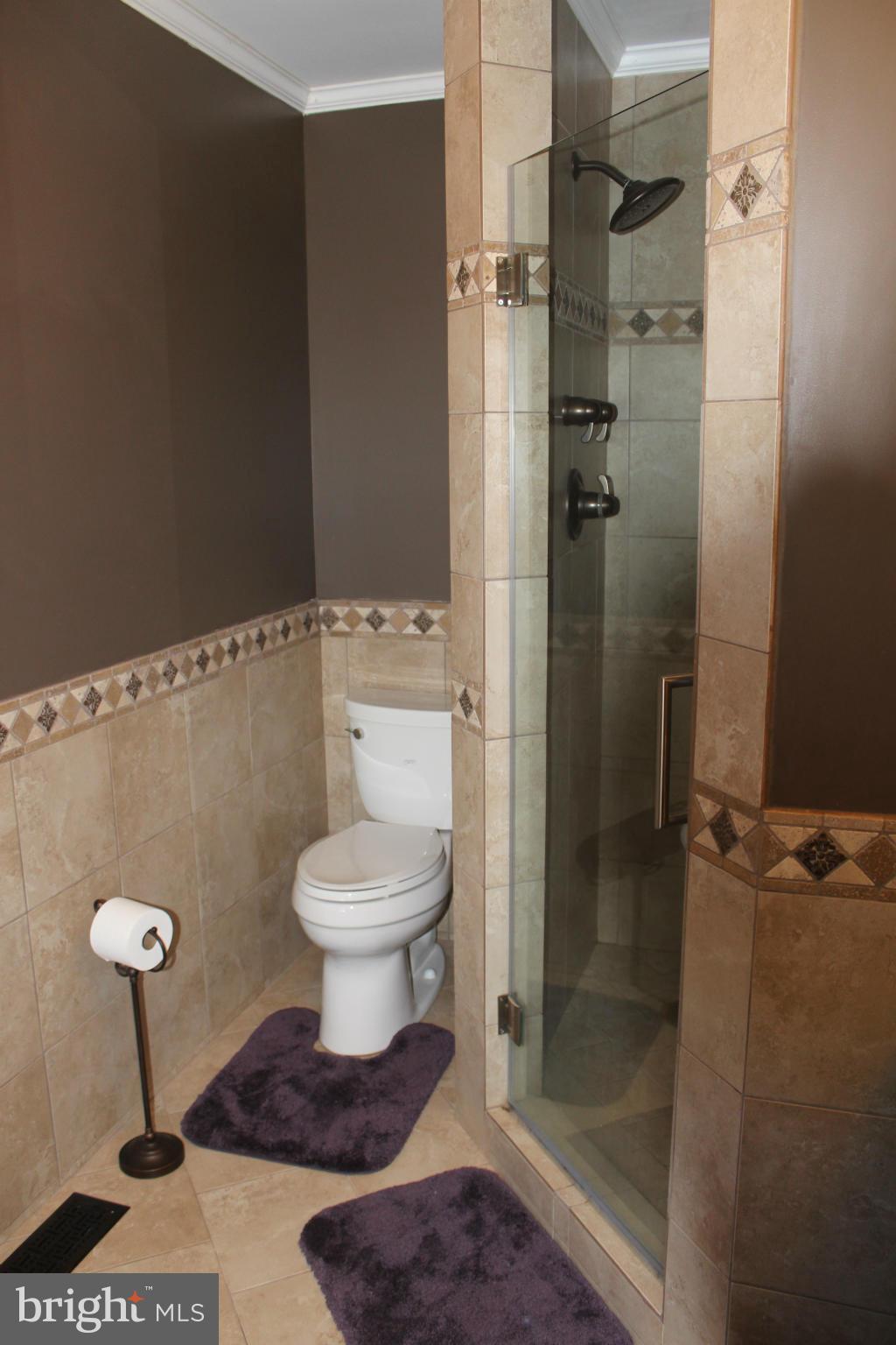 6333 Davis Road Mount Airy, MD 21771 - Photo 21 of 30 Bath (Master)