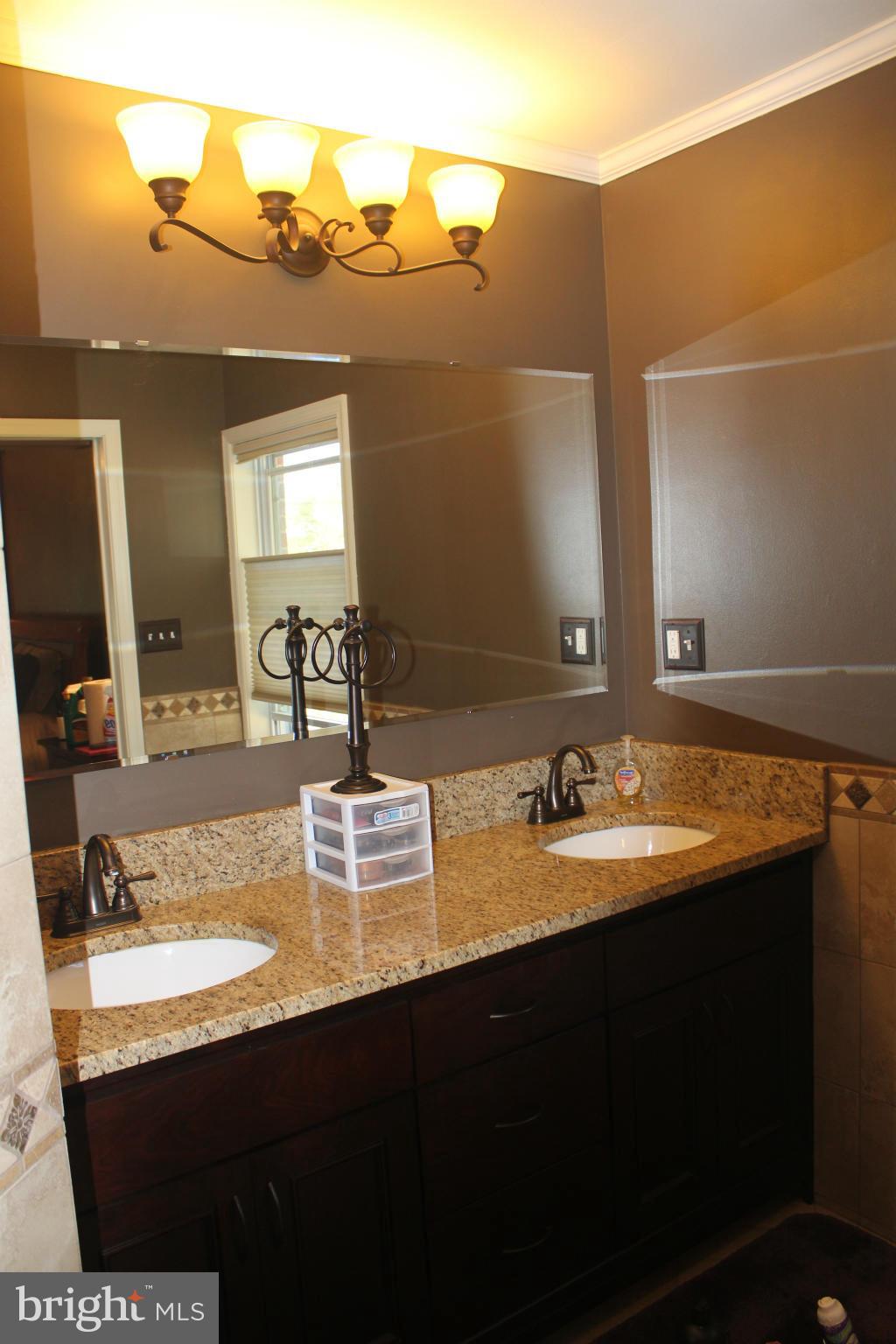 6333 Davis Road Mount Airy, MD 21771 - Photo 9 of 30 Bath (Master)