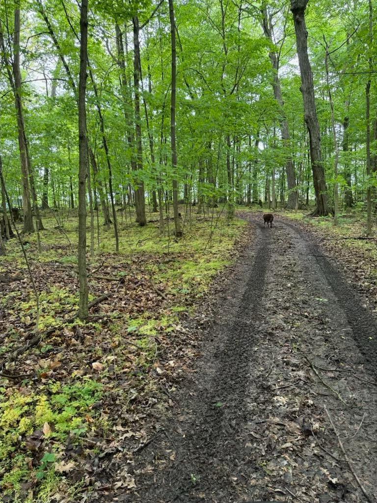 0 Norton Road Radnor, OH 43066 - Photo 9 of 35