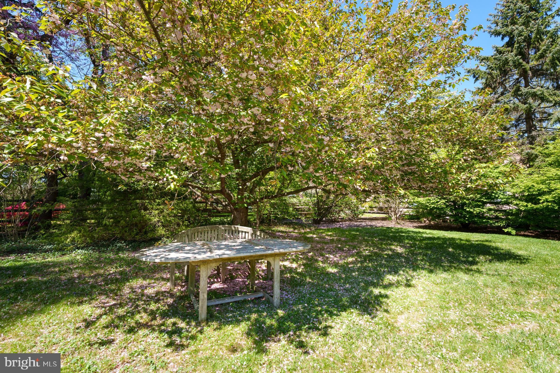 254 Jefferson Road Princeton, NJ 08540 - Photo 34 of 38