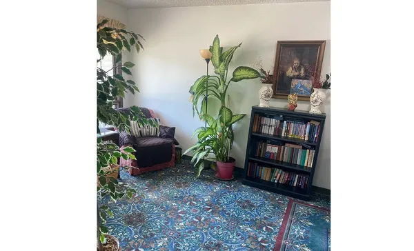 a living room with furniture and a potted plant