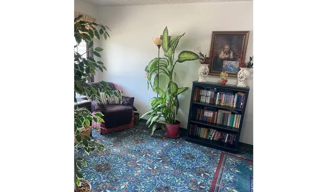 a living room with furniture and a potted plant