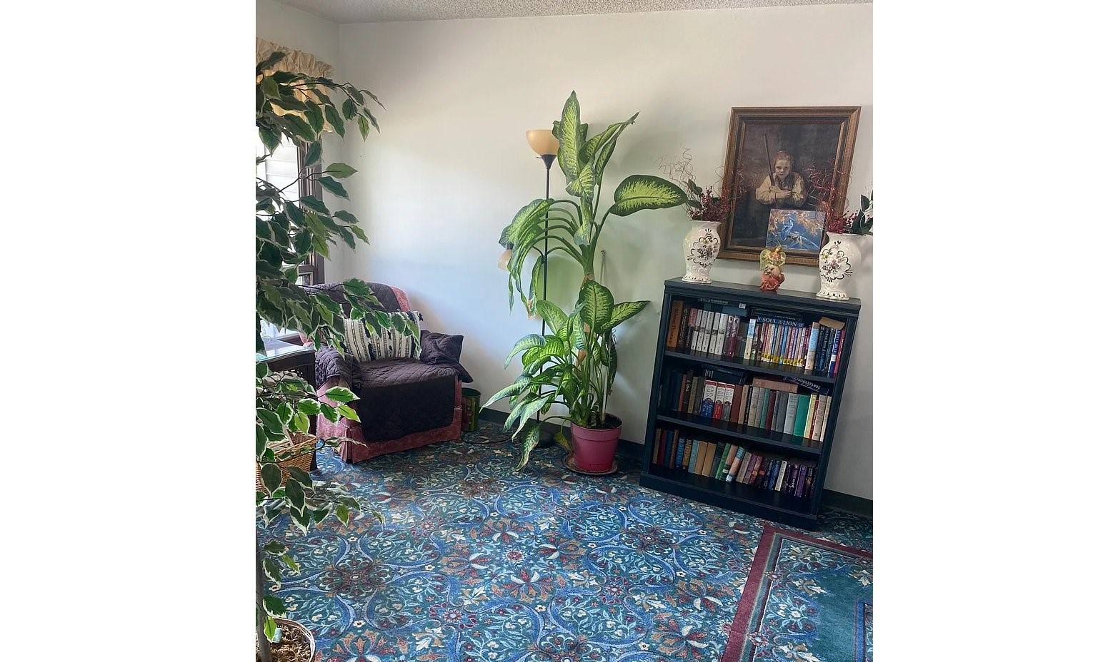 603 North Prospect Street Cambridge, IL 61238 - Photo 4 of 6 a living room with furniture and a potted plant