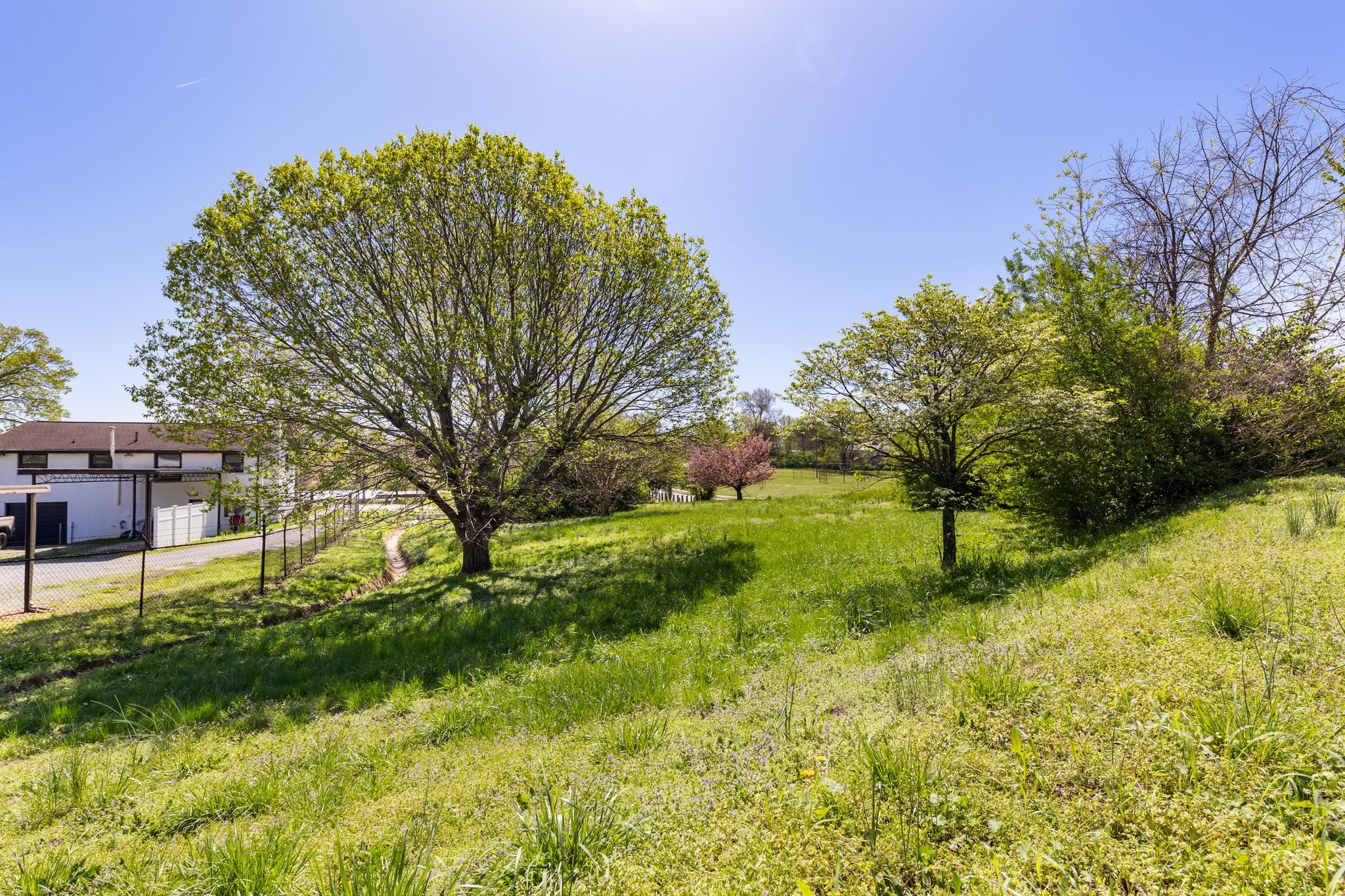 1808 Riverside Road Old Hickory, TN 37138 - Photo 6 of 14 a view of backyard with green space