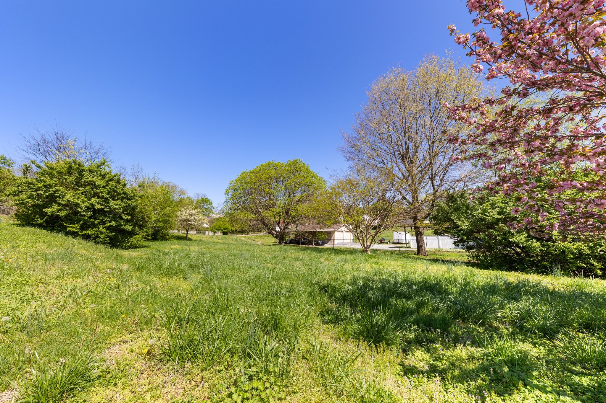 1808 Riverside Road Old Hickory, TN 37138 - Photo 8 of 14 a view of a garden with a tree