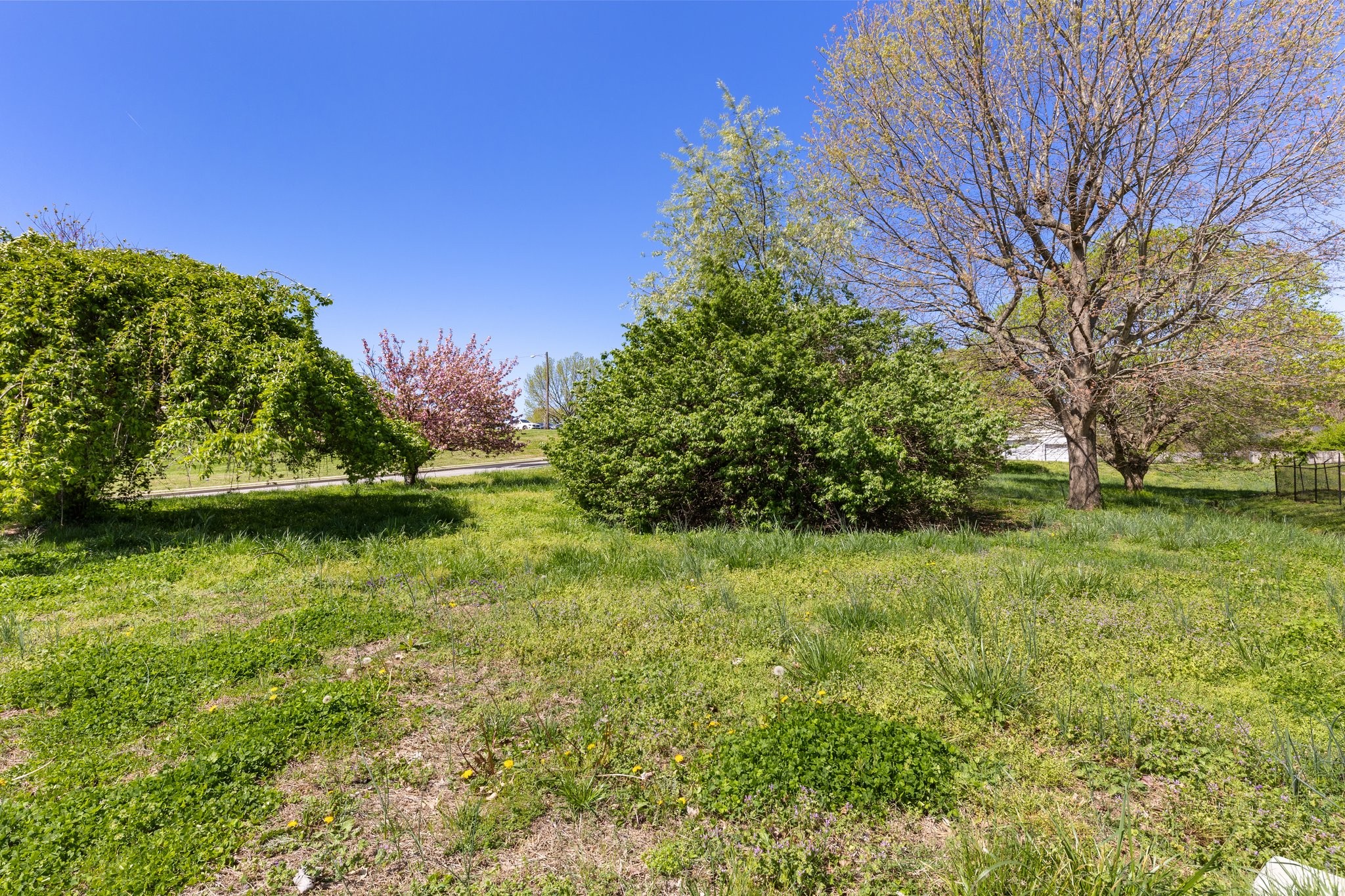 1808 Riverside Road Old Hickory, TN 37138 - Photo 9 of 14 a view of a garden