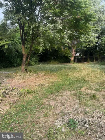 a view of outdoor space and yard