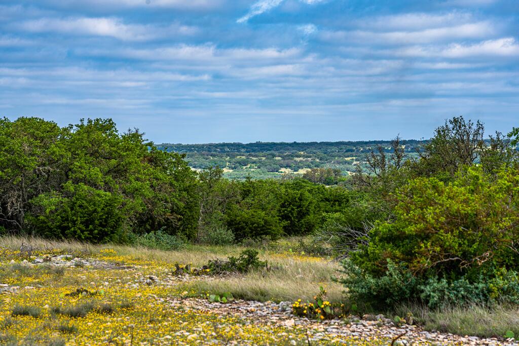 0 Morris Ranch Road Rocksprings, TX 78880 - Photo 36 of 40 Gallery Image 36