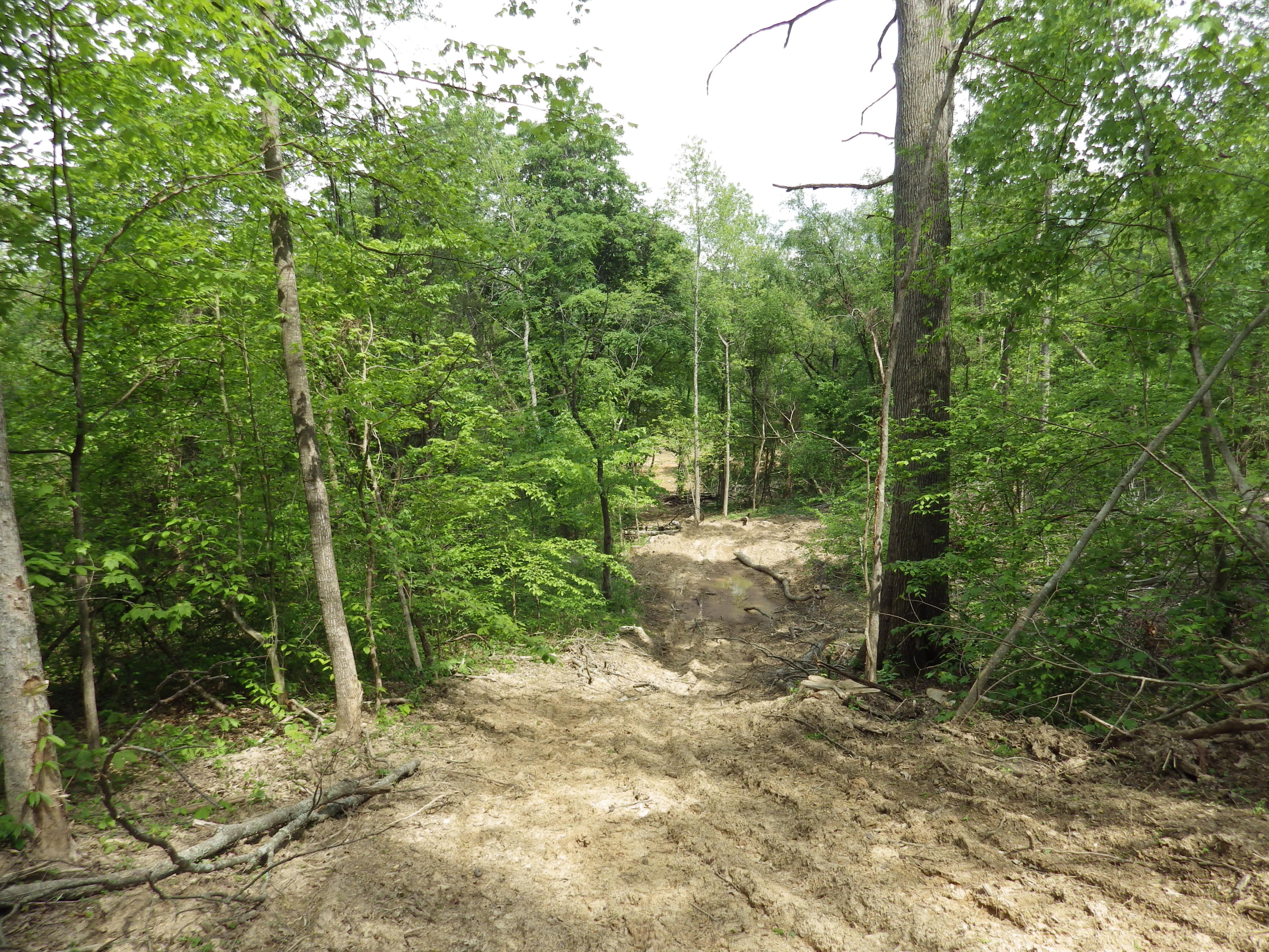Long Creek Road Del Rio, TN 37727 - Photo 5 of 11 2015-12-31 03.24.05