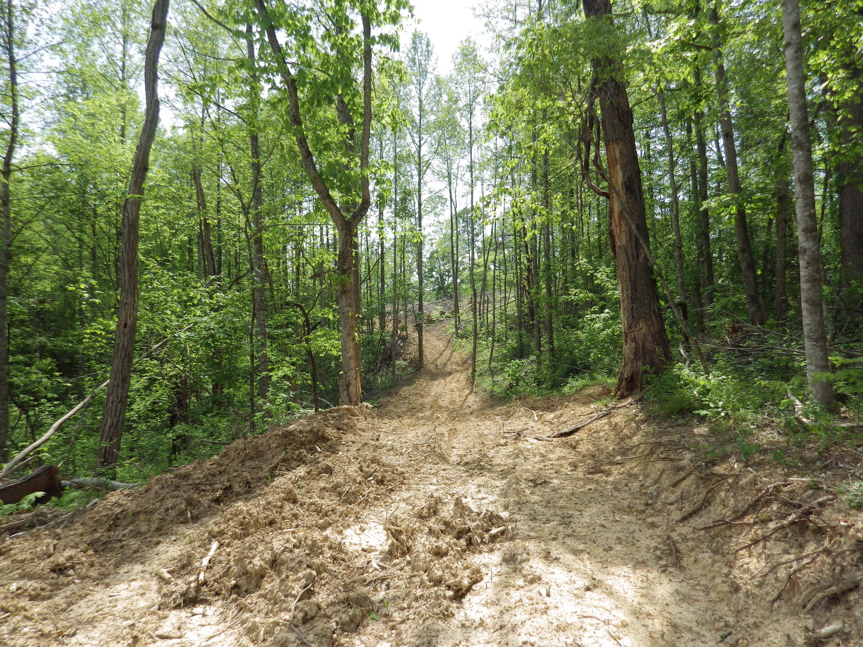 Long Creek Road Del Rio, TN 37727 - Photo 8 of 11 2015-12-31 03.25.14