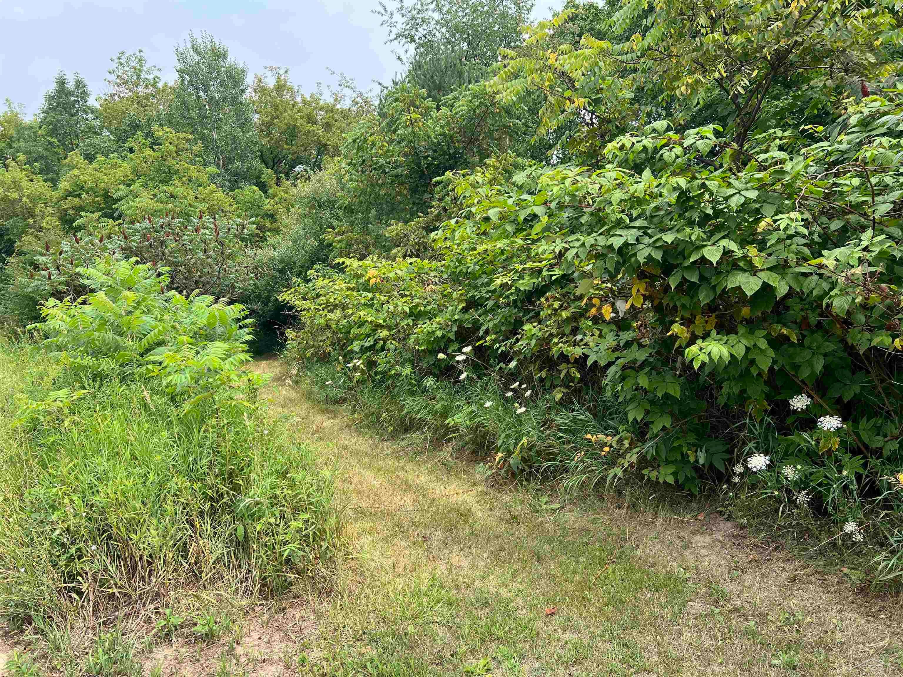 382 Romain Road Caro, MI 48723 - Photo 33 of 43 Gallery Image 33