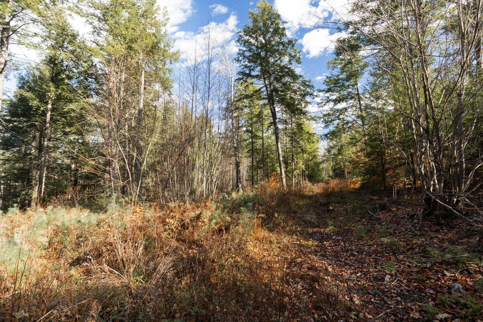 Tbd Tbd Branch View Terrace, Unit LOT 1 Alfred, ME 04002 - Photo 15 of 15 Branch View Estates