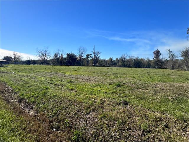 428 Magnolia Ridge Road Boutte, LA 70039 - Photo 41 of 46