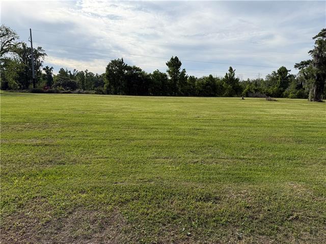 428 Magnolia Ridge Road Boutte, LA 70039 - Photo 5 of 46