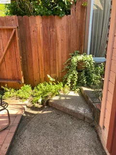 a view of a house with potted plants and a large tree