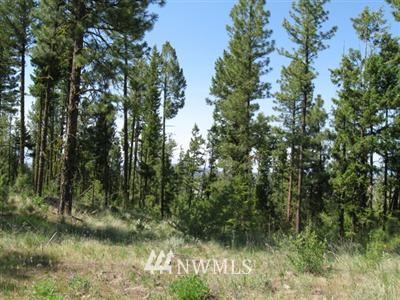 -tbd102 Red Feather Road Riverside, WA 98849 - Photo 1 of 1 Gallery Image 1