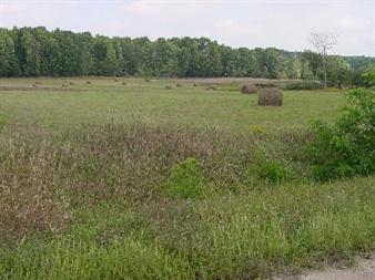 Flarity Road Brethren, MI 49619 - Photo 1 of 1 Primary Photo