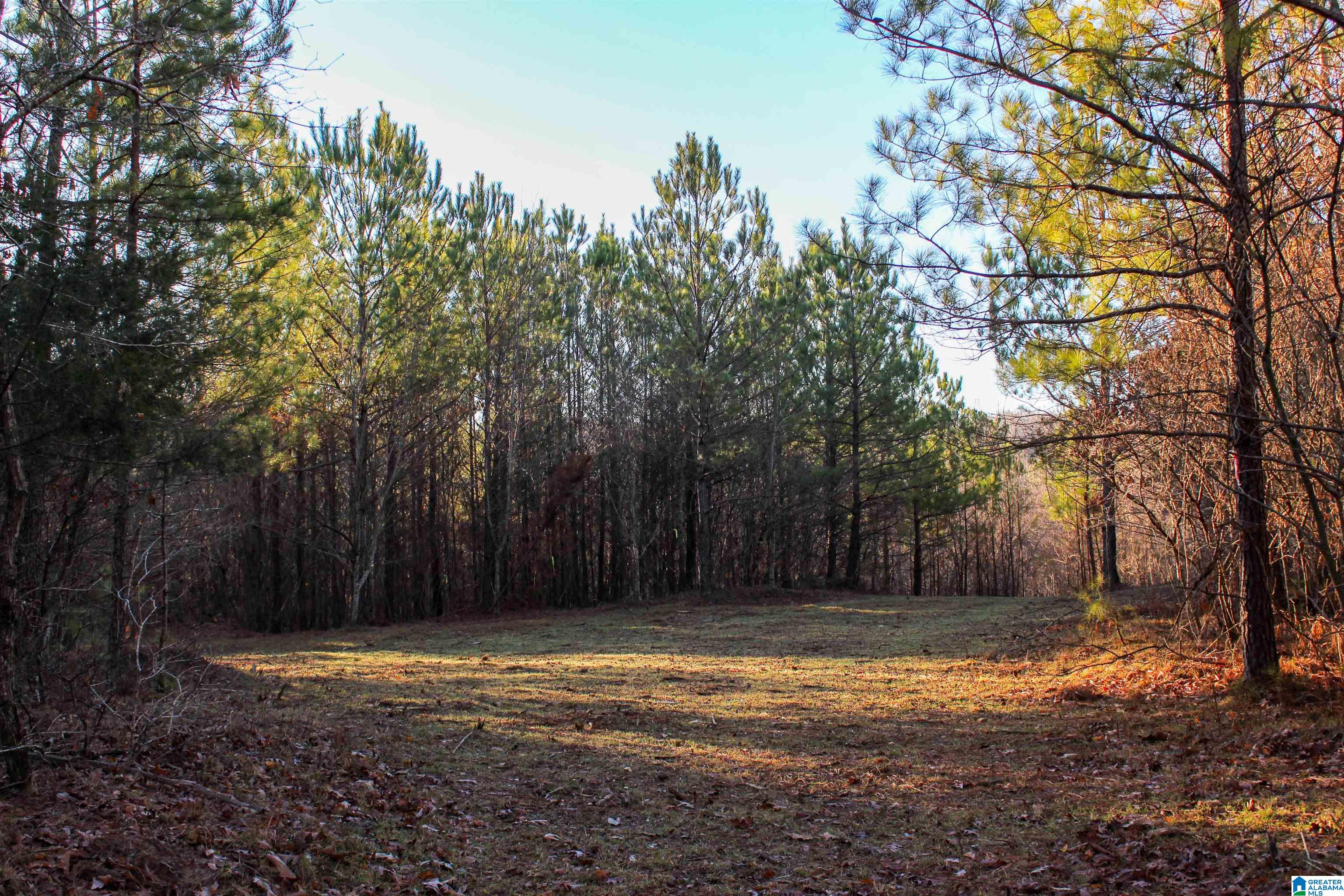29 Highway Hamilton Al, Unit 1 Hamilton, AL 35570 - Photo 45 of 55