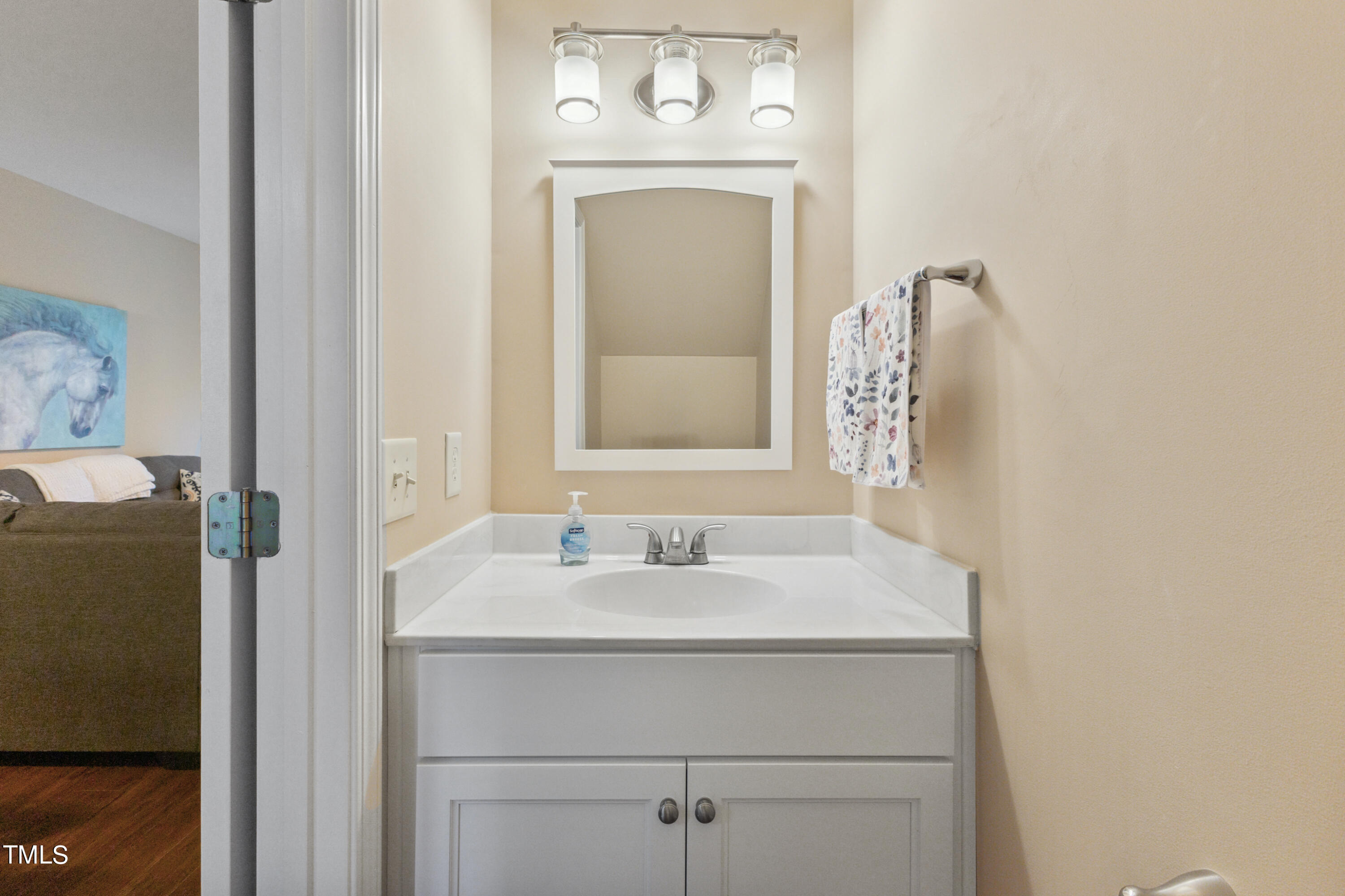 1824 Natalie Brook Way Raleigh, NC 27609 - Photo 10 of 28 a bathroom with a sink vanity and a mirror