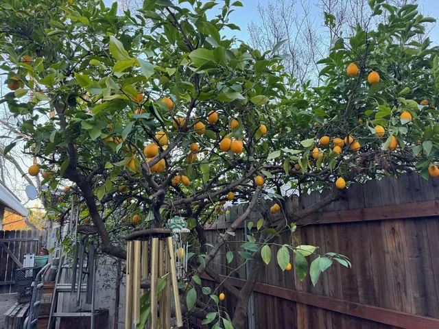 $375,000 | 11110 Concord River Court, Rancho Cordova, CA 95670