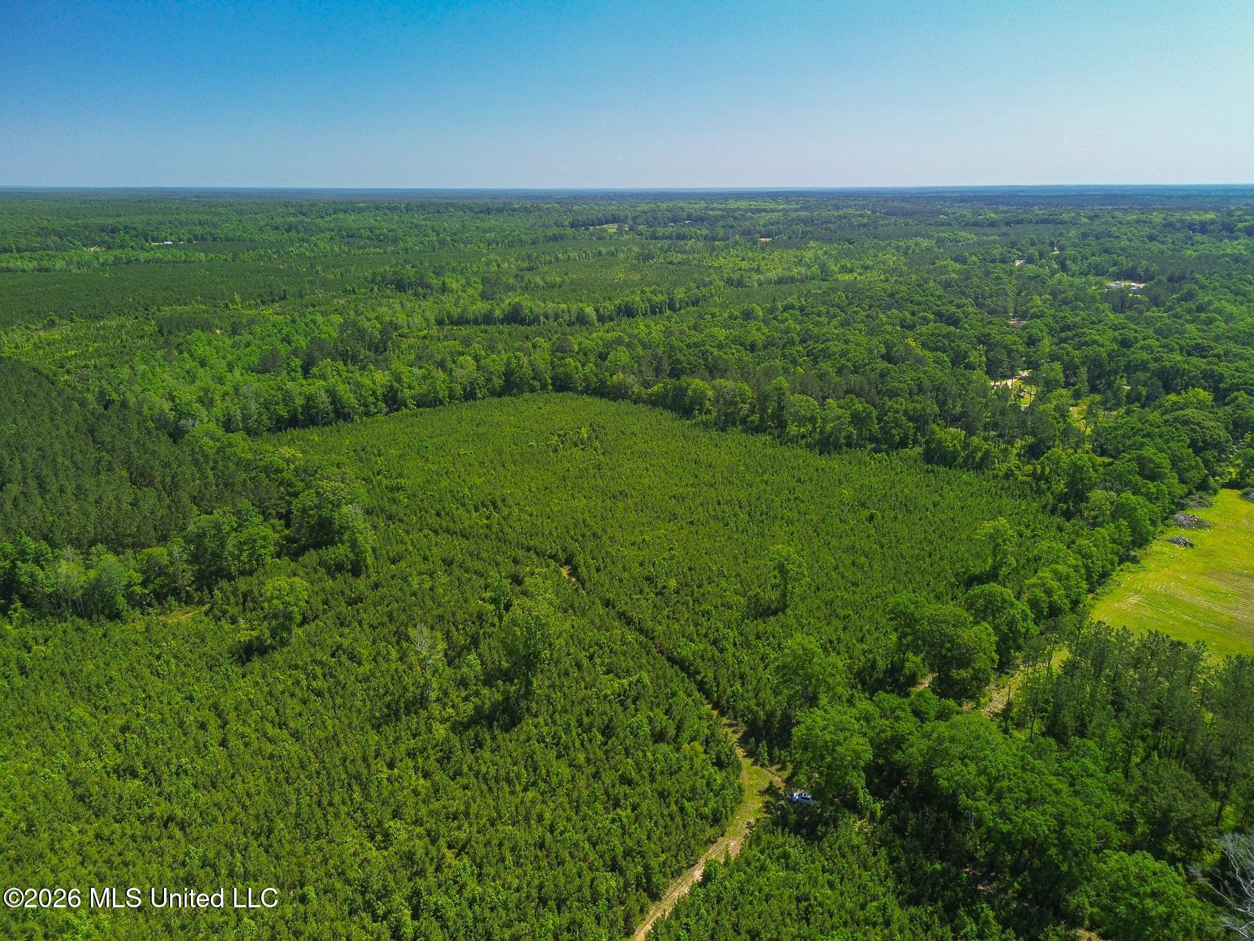 271 Shadeville Road Wiggins, MS 39577 - Photo 5 of 45 51426-5