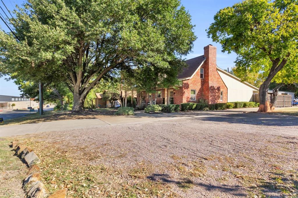 a view of large tree in front of a house