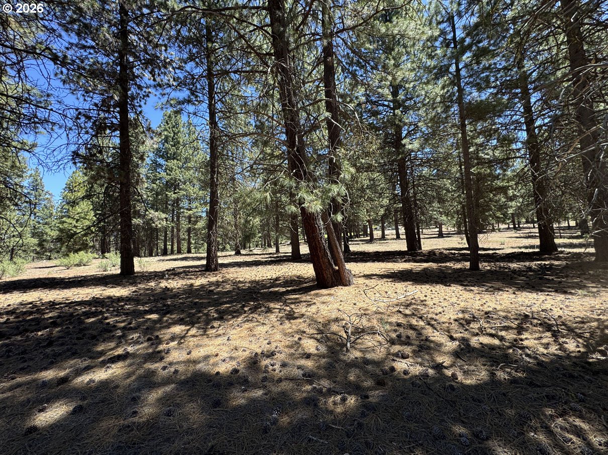 Friendship Drive, Unit 15 Chiloquin, OR 97624 - Photo 24 of 41